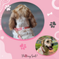 Love at First Bark Collar Usage