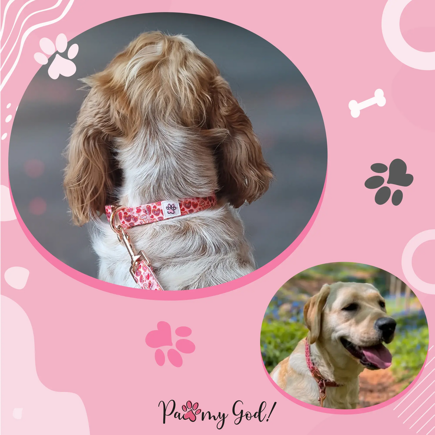 Love at First Bark Collar Usage