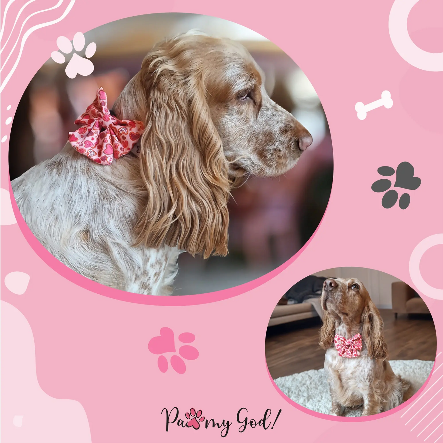 Love at First Bark Lady Bow Usage