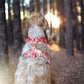 Love at First Bark Cloth Leash Picture