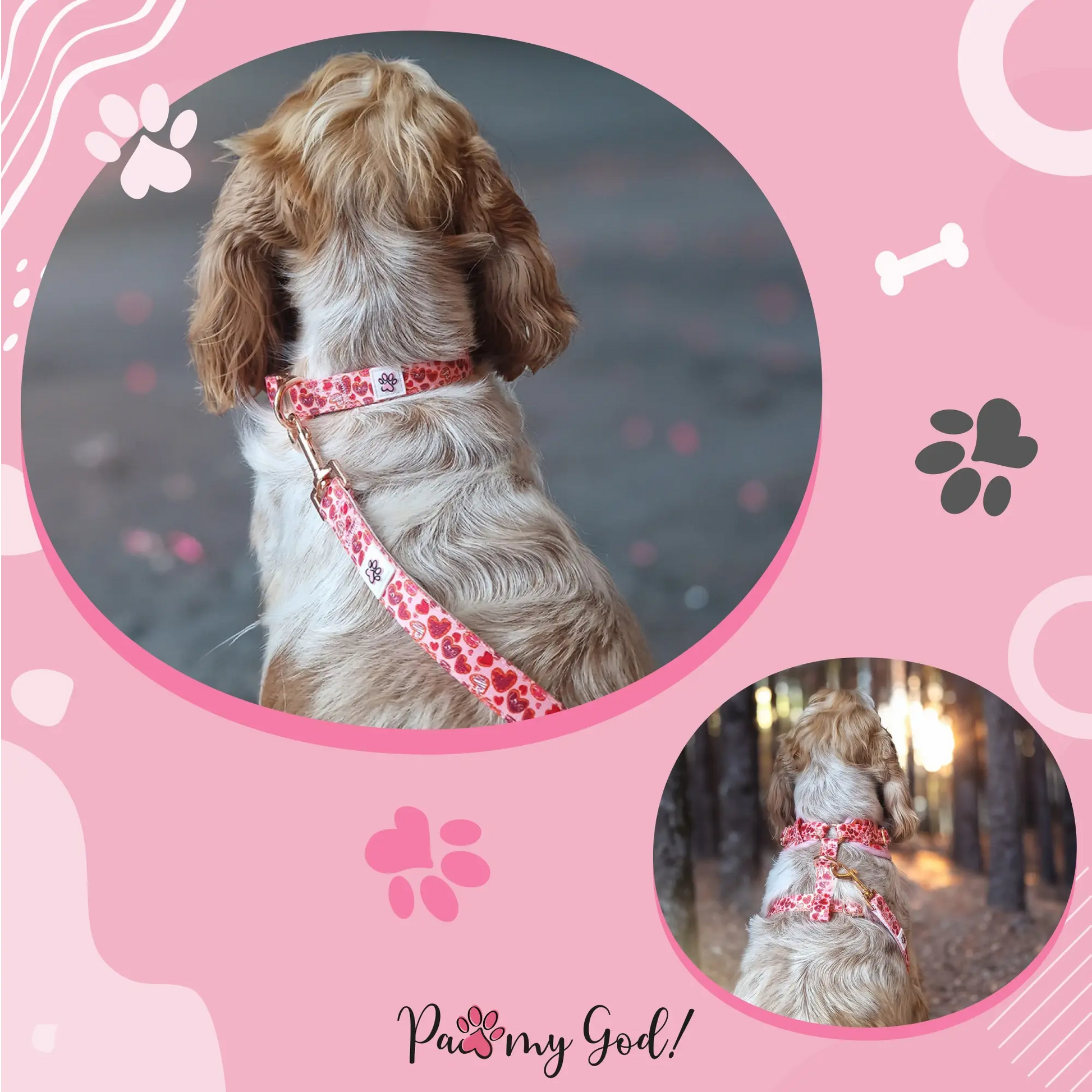 Love at First Bark Cloth Leash Usage