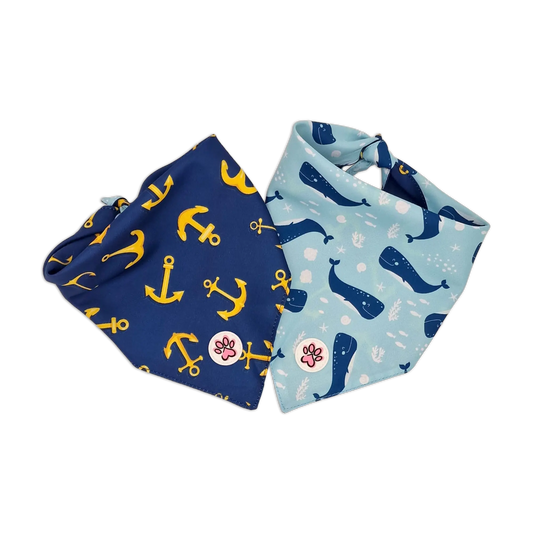 Paws on Deck Bandana