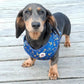 All Paws on Deck Harness Picture