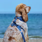 All Paws on Deck Harness Picture