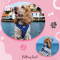 All Paws on Deck Harness Usage