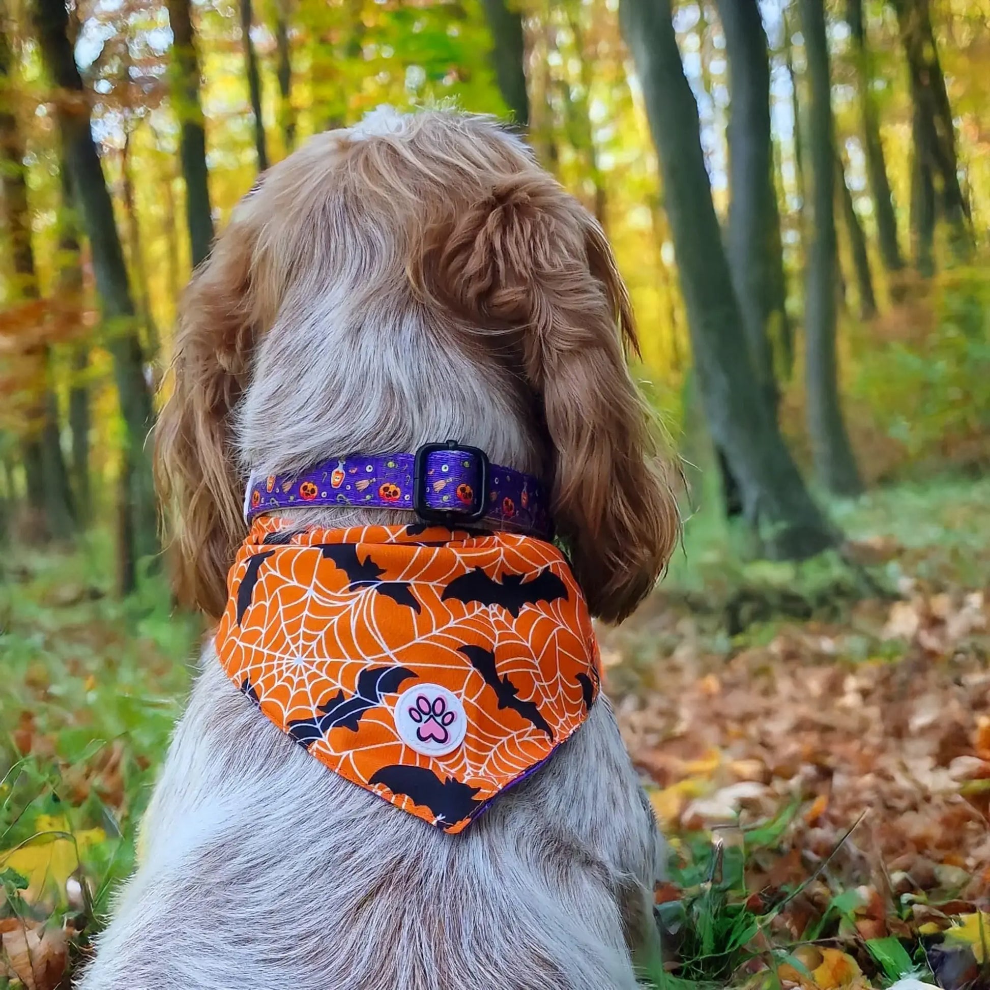 Pumpkin Pooch Parade Bandana Picture