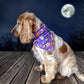 Pumpkin Pooch Parade Bandana Picture