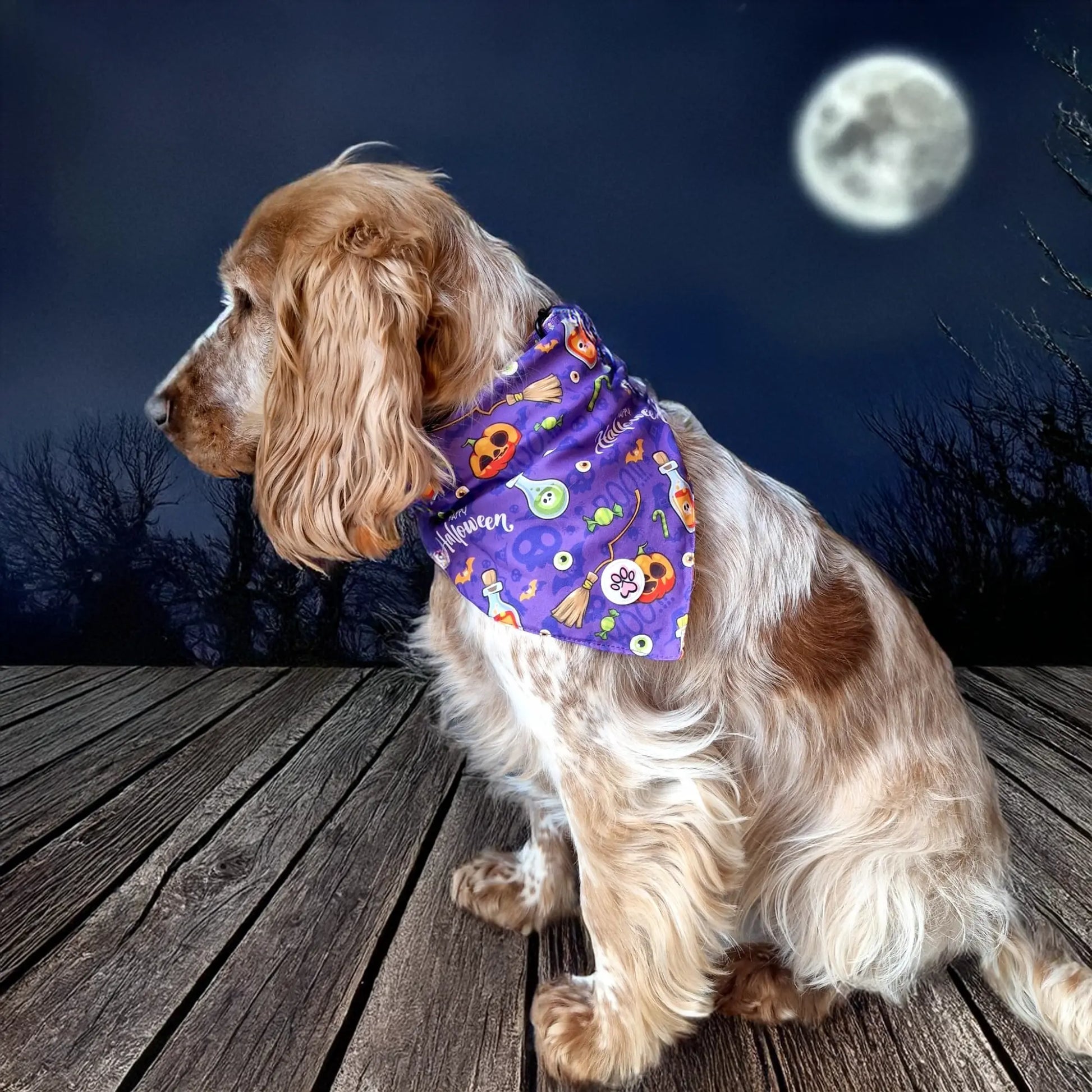 Pumpkin Pooch Parade Bandana Picture