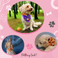Pumpkin Pooch Parade Bandana Usage