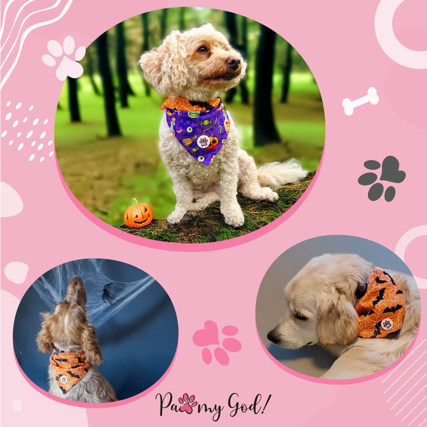 Pumpkin Pooch Parade Bandana Usage