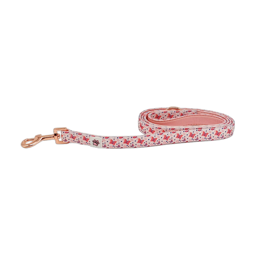 Rainbows and Butterflies Cloth Leash