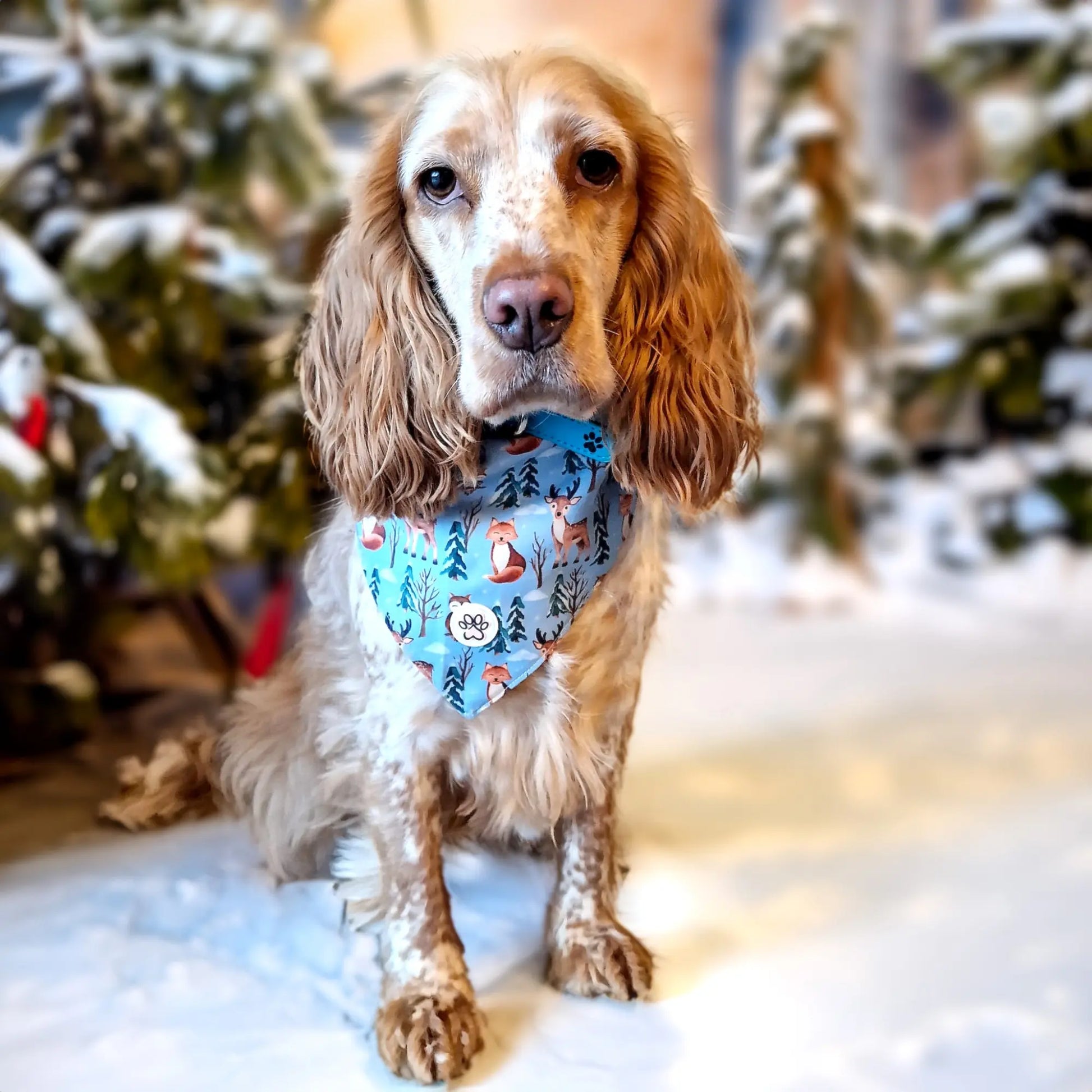 Snuggle Season Bandana Picture