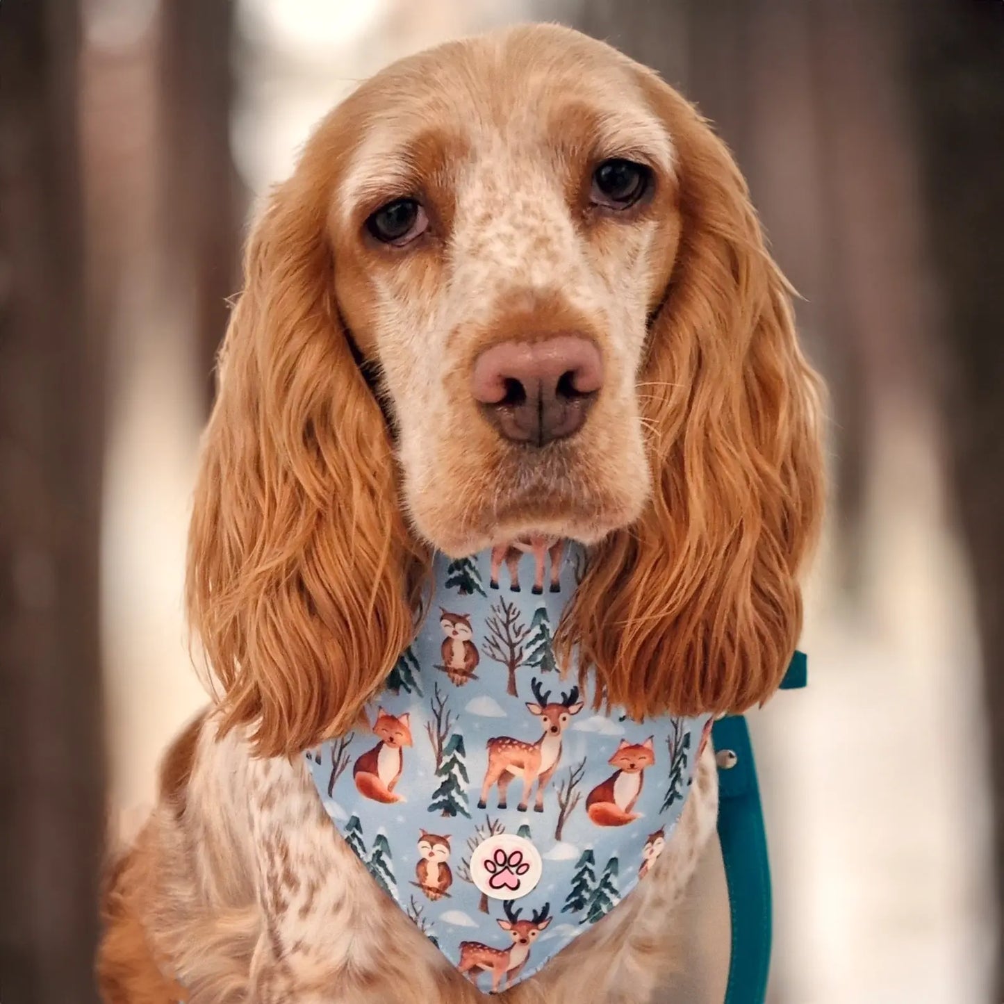 Snuggle Season Bandana Picture