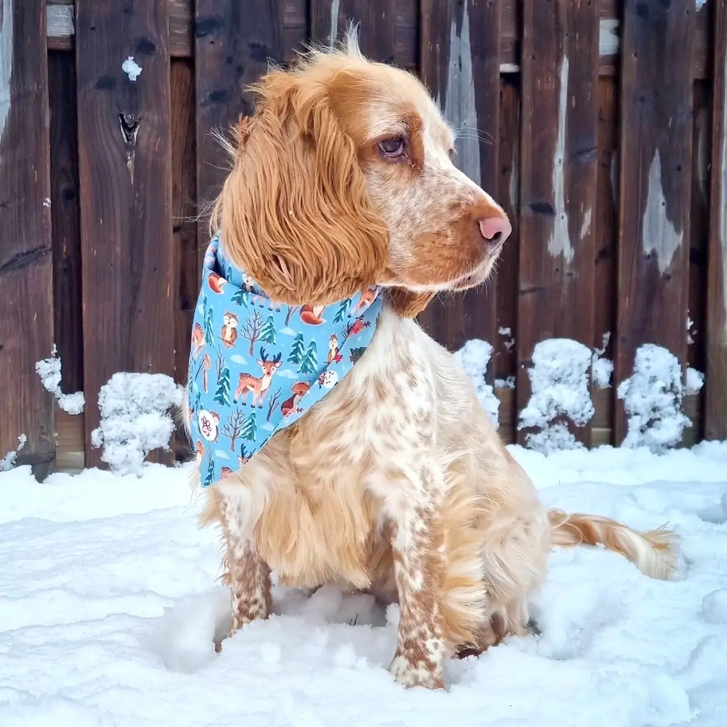 Snuggle Season Bandana Picture