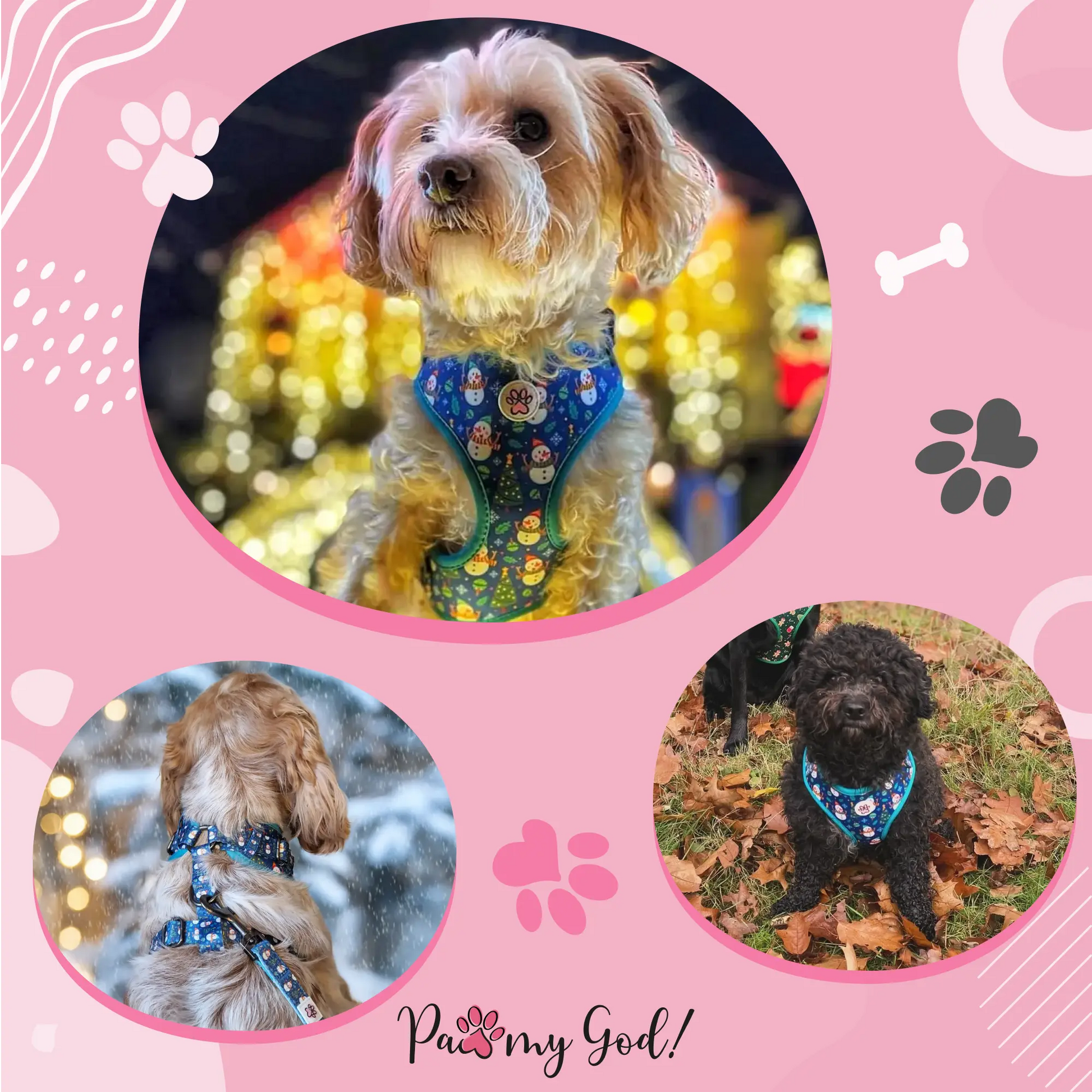 Winter Wiggling Harness Usage