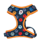 You are my Universe Harness