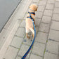 You are my Universe Harness Picture