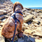 You are my Universe Harness Picture