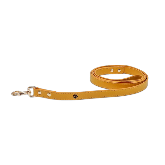 Yummy Yellow Leather Leash