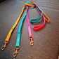 Twinkly Turquoise Leash