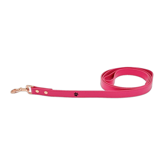 Pretty Pink Leash primary transparent