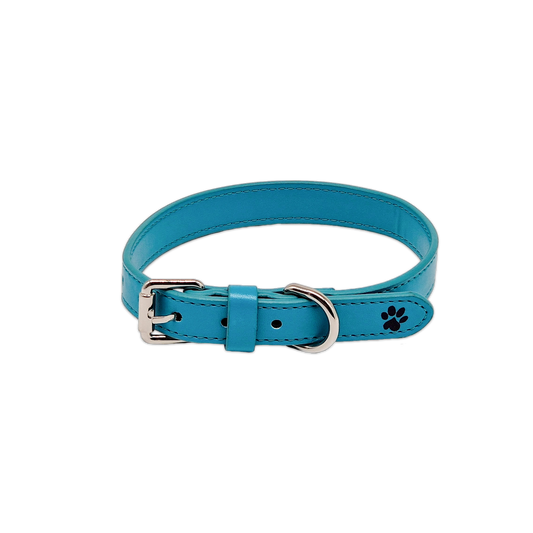 Twinkly Turquoise Collar primary transparent