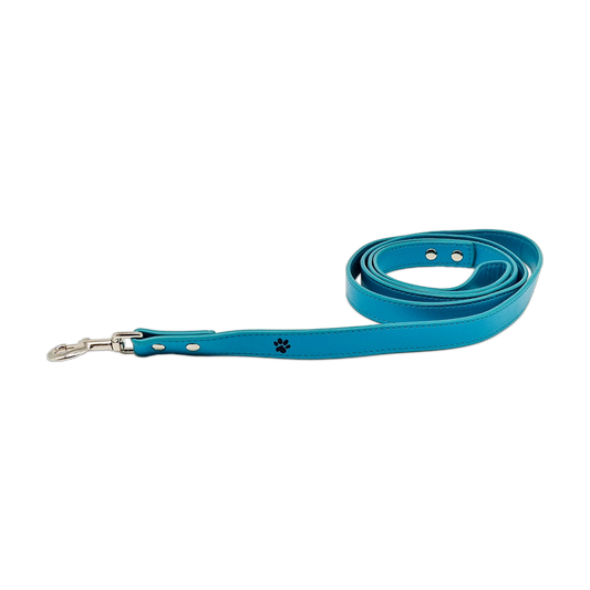 Twinkly Turquoise Leash primary transparent